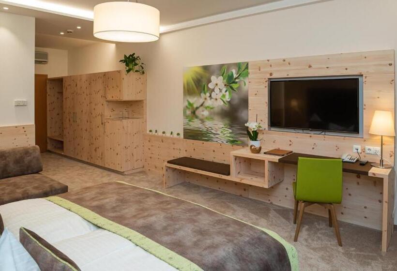 Номер Стандарт Вид на Бассейн, Thermenhotel Puchasplus Stegersbach