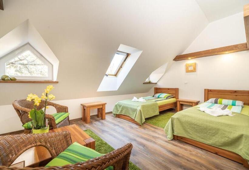 Номер Стандарт, Juhar Apartmanház