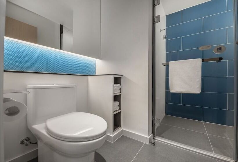 Номер Стандарт, Holiday Inn Express Meishan Dongpo, An Ihg