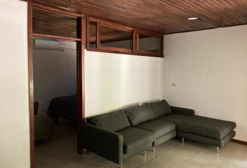 اتاق استاندارد با چشم‌انداز استخر, Chocolate