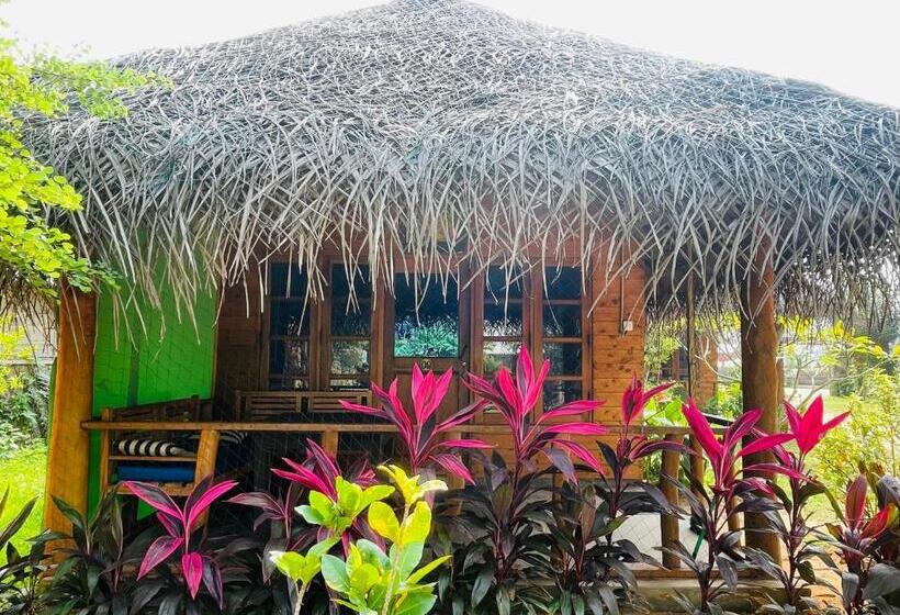 اتاق خانوادگی با چشم‌انداز باغ, Vitamin Sea Beach Cabana