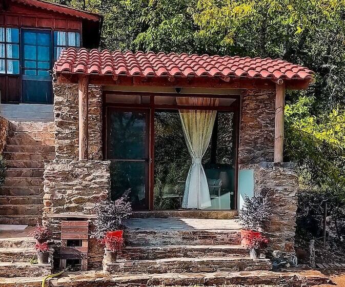 Quarto Romântica, Torrhebia Dag Evi