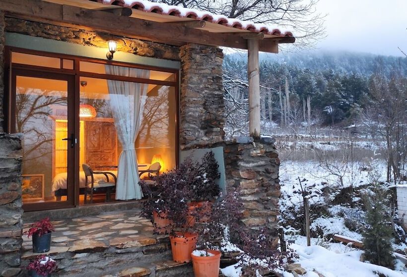 Quarto Romântica, Torrhebia Dag Evi