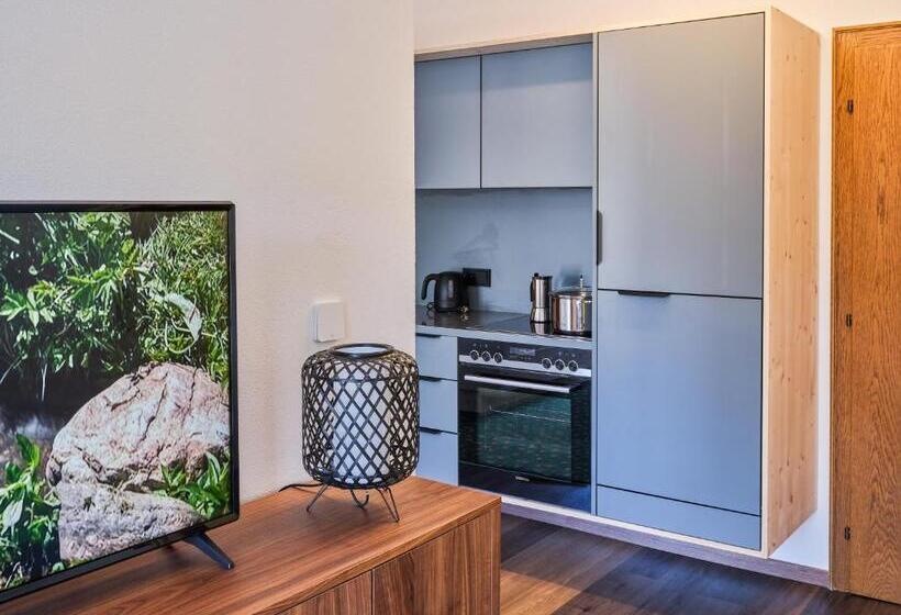 Апартаменты 1 Спальня Вид на Сад, Design Apartments & Zimmer   Zugspitze