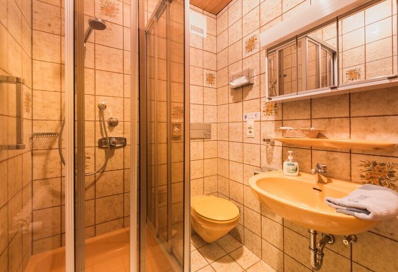 Одноместный Номер Basic, Alpenhotel Sonneck   Mit Bergbahnticket