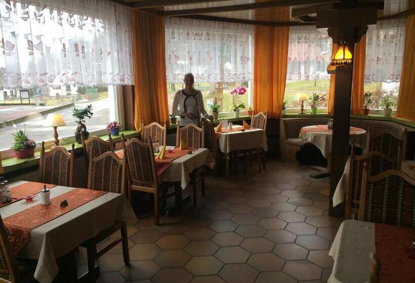 Номер Стандарт, Pension Waldeck