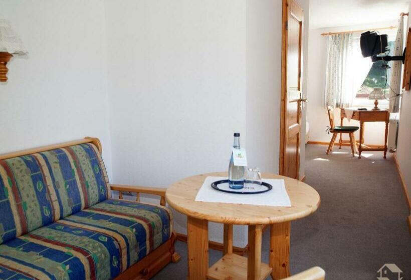 Номер Стандарт Индивидуальный, Landgasthaus Kurz Hotel & Restaurant Am Feldberg   Schwarzwald