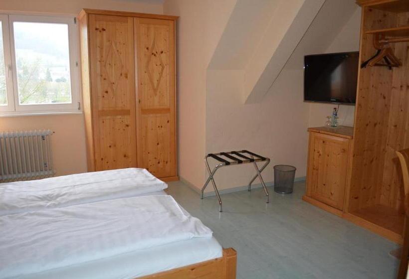 Номер Стандарт, Alte Post   Hotel Am Rhein Ufer Laufenburg