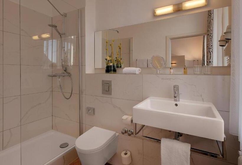 Номер Стандарт Индивидуальный, Boutiquehotel Dreesen   Villa Godesberg