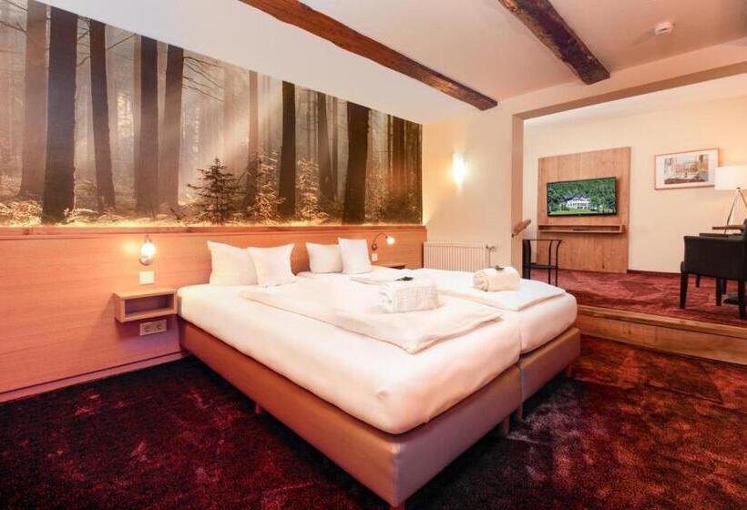 Номер Стандарт, Waldhotel Schinkenwirt