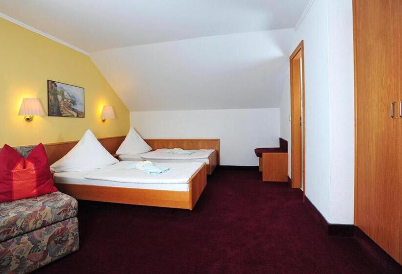 Номер Стандарт, Landhotel Plauen   Gasthof Zwoschwitz