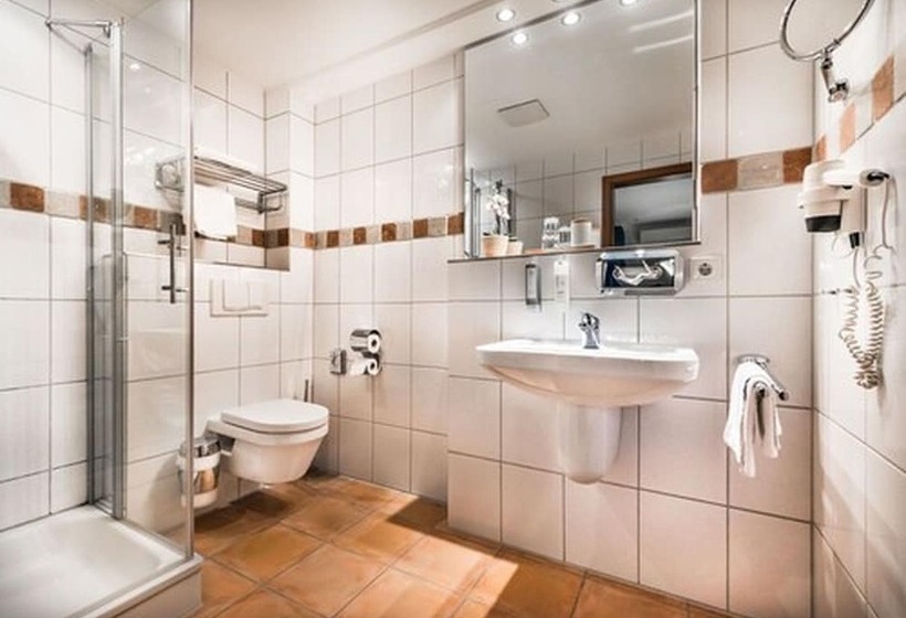 Номер Стандарт Индивидуальный, Parkhotel Bielefeld