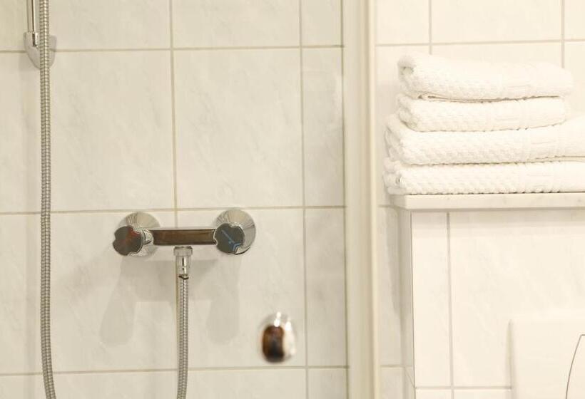 غرفة قياسية فردية, Villa Brenner