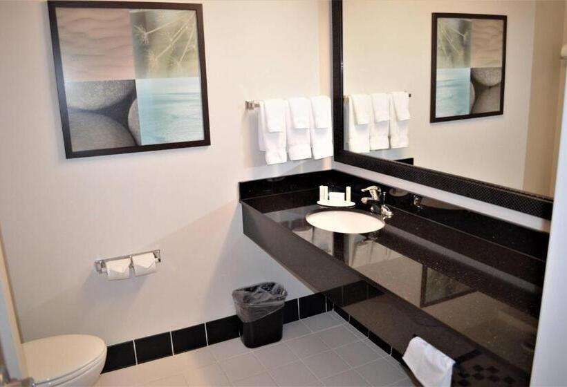 Студио Стандарт Кровать Кинг, Fairfield Inn & Suites By Marriott Sault Ste. Marie