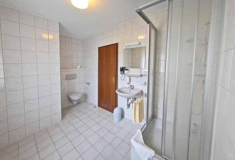 Номер Стандарт Индивидуальный, City Hotel Mark Michelstadt