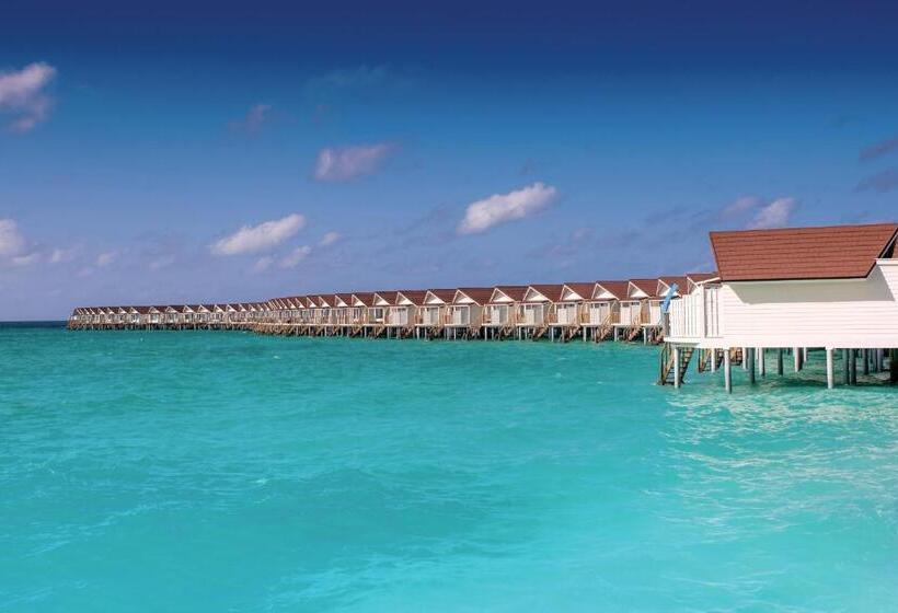 ویلای 1 خوابه, Oblu Xperience Ailafushi  All Inclusive With Free Transfers
