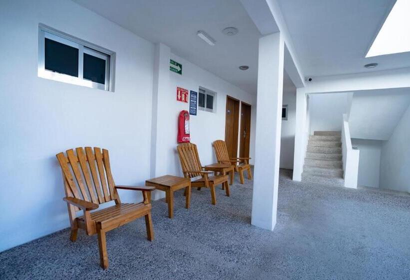标准间, Star Manzanillo
