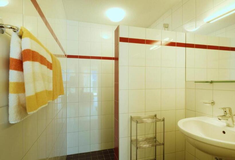 Студия Стандарт, Schweizer Hof