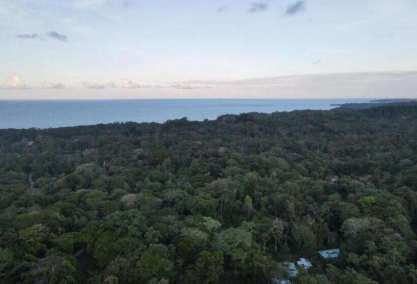 Вилла 1 Спальня, Villas Y Glampings Mya  Puerto Viejo, Limon, Cr
