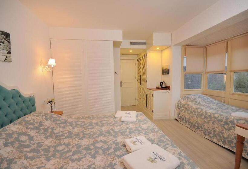 اتاق لوکس, Gi̇ri̇tli̇m Buti̇k Otel