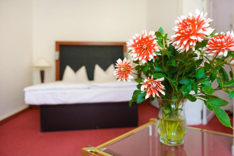 اتاق استاندارد یک نفره, Altstadthotel Am Theater