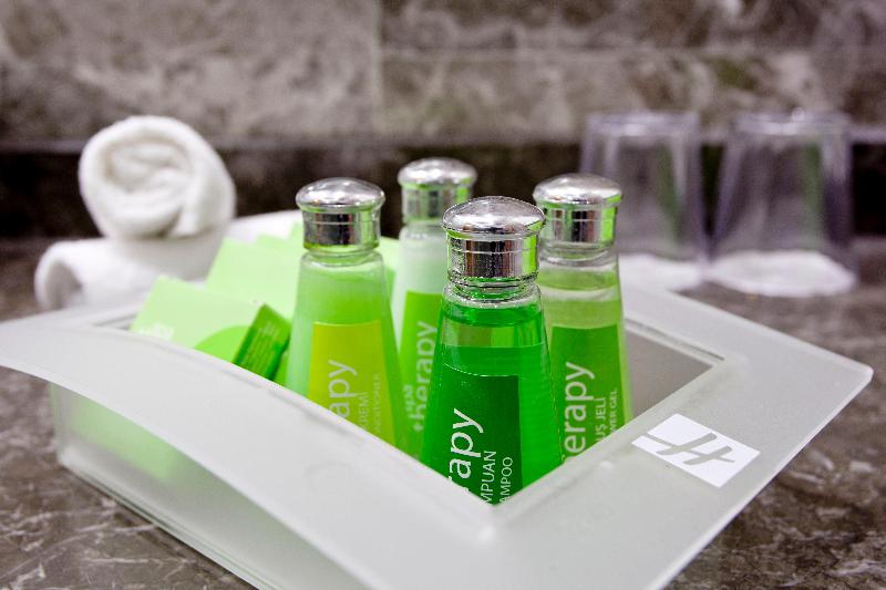 اتاق استاندارد با تخت بزرگ, Holiday Inn Gaziantep, An Ihg