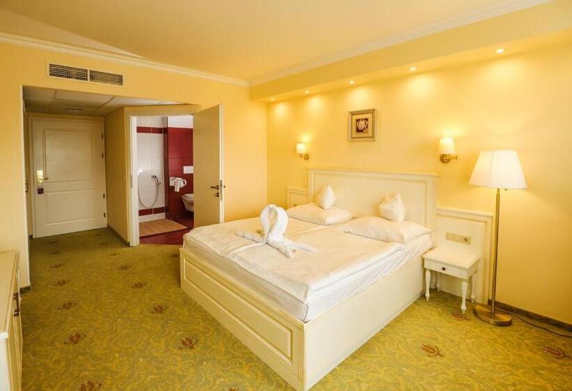 Номер Стандарт Адаптированный для Инвалидов, Calimbra Wellness Hotel Superior