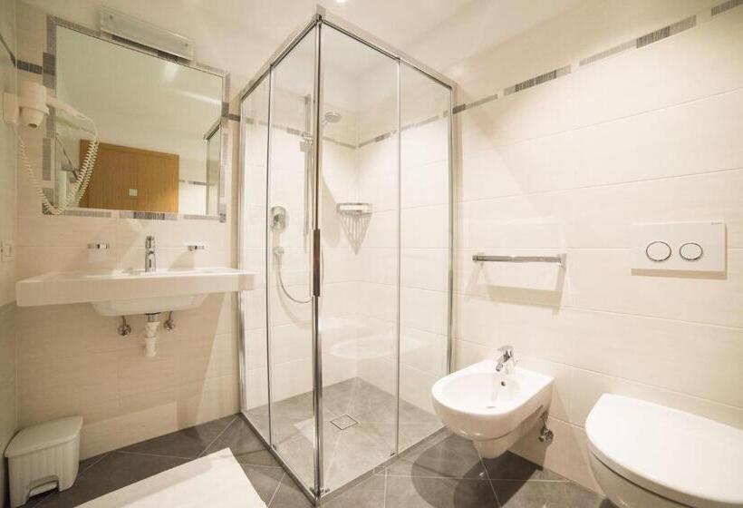 Студия Стандарт, Residence Ravisa Dolomites