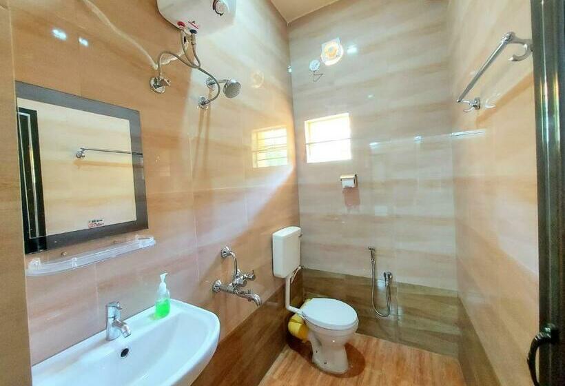 Номер Economy, Aappayan Guest House & Restaurant