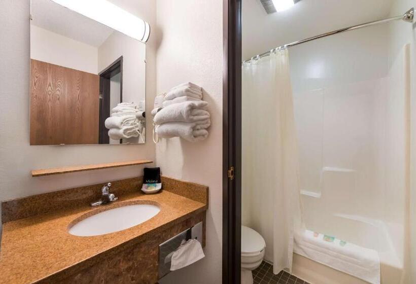 Номер Стандарт Вид на Озеро, Surestay Hotel By Best Western Spicer