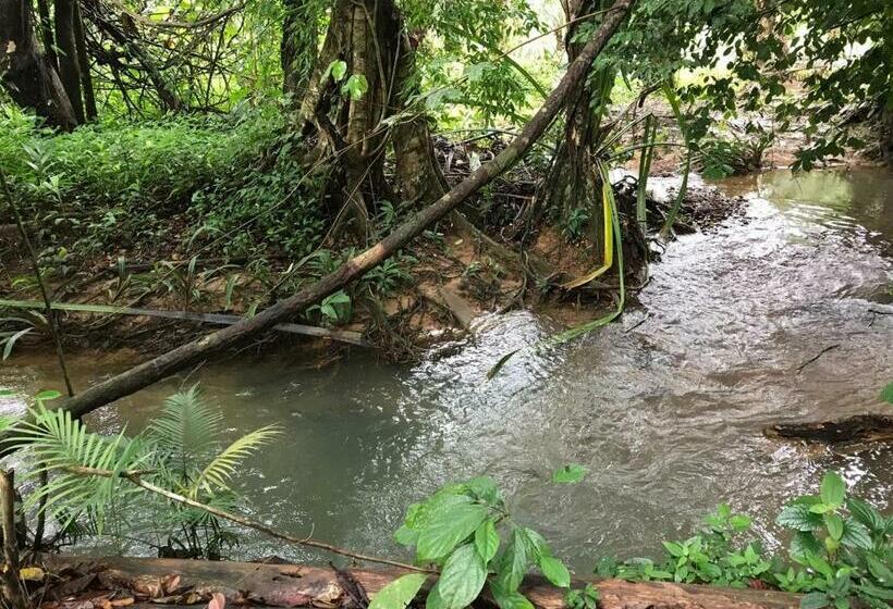 Номер Стандарт, Khao Sok Homestay Resort