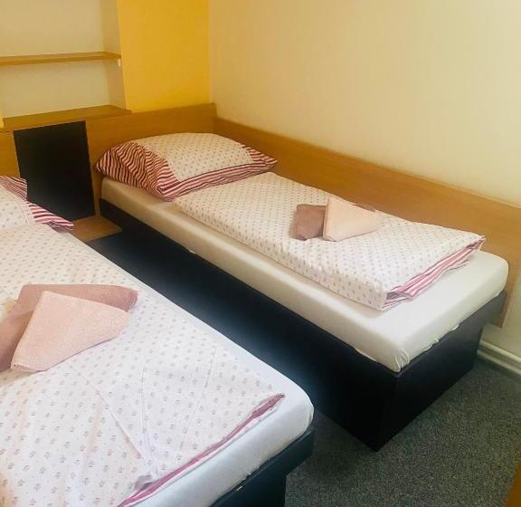 اتاق خانوادگی, Apartmánový Dům Velké Losiny