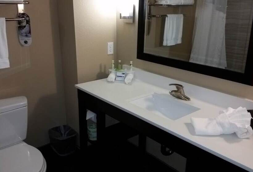 Люкс Адаптированный для Инвалидов, Holiday Inn Express And Suites Atascocita   Humble   Kingwood, An Ihg