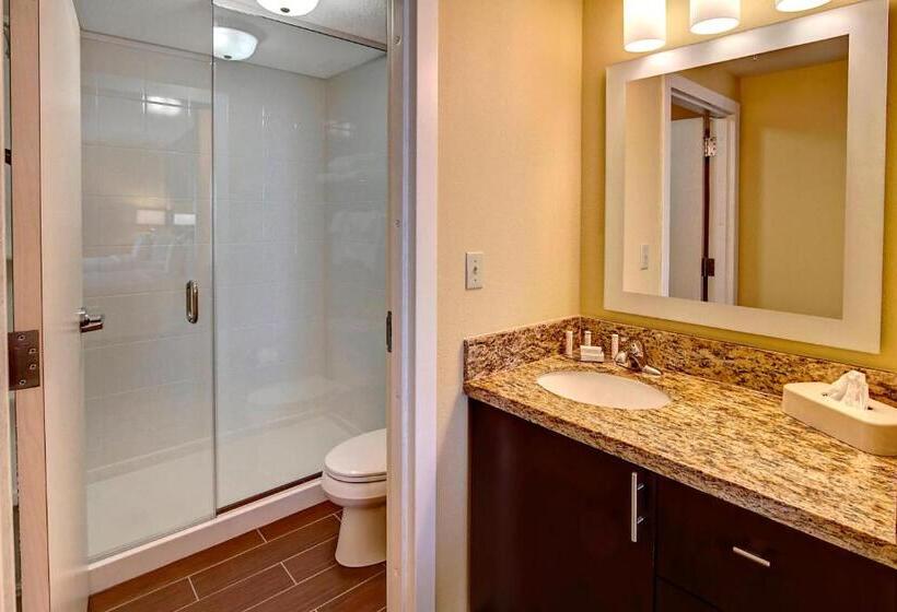 Студио Стандарт Кровать Кинг, Towneplace Suites Oklahoma City Airport