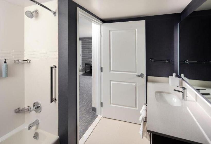 Люкс, Residence Inn By Marriott Tampa Wesley Chapel