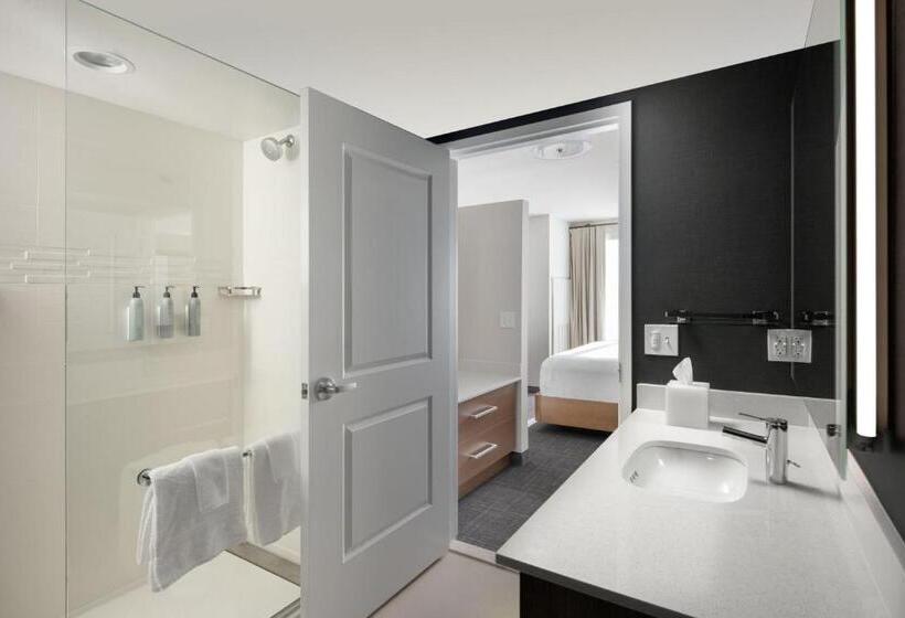 Студио Стандарт Кровать Кинг, Residence Inn By Marriott Tampa Wesley Chapel