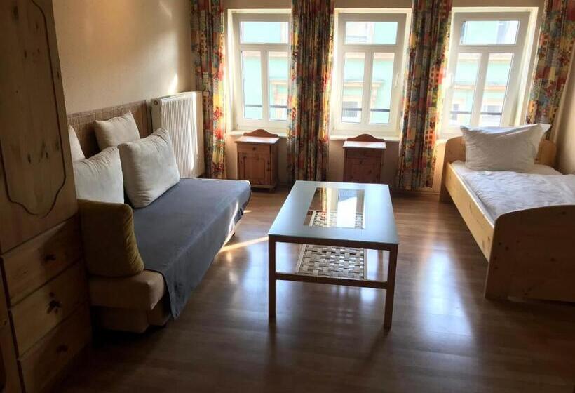 Апартаменты 1 Спальня, Budget Pension Plauen