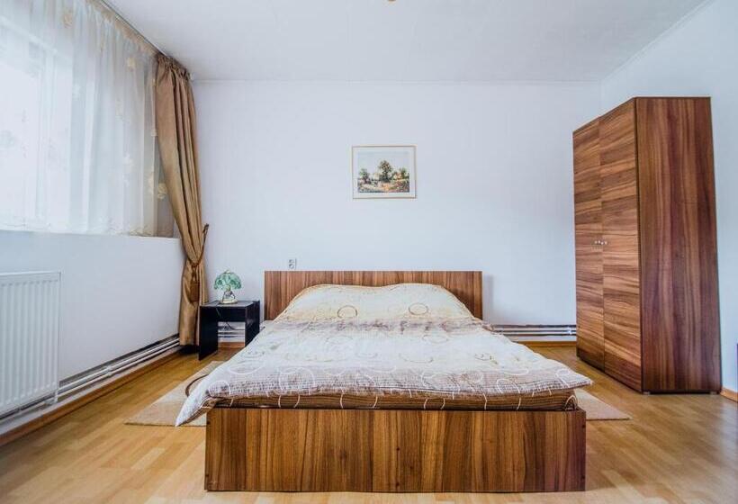 침실 2개 아파트, Transylvania Guest House