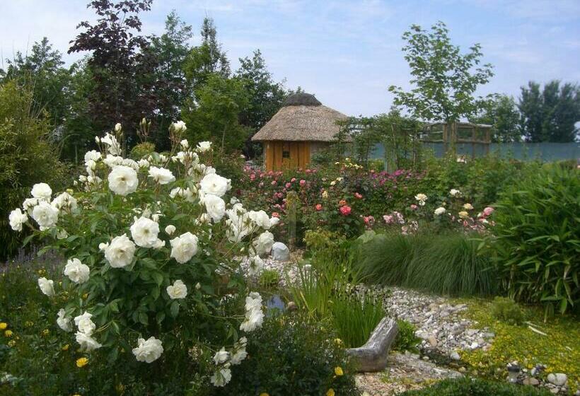 Номер Стандарт, Pension Hohaus