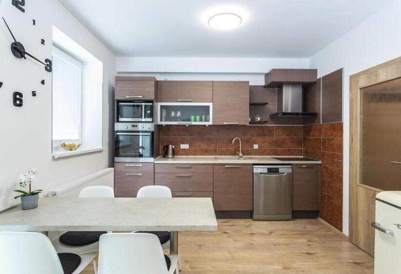 Студия Стандарт, Aparthotel Klínovec Views