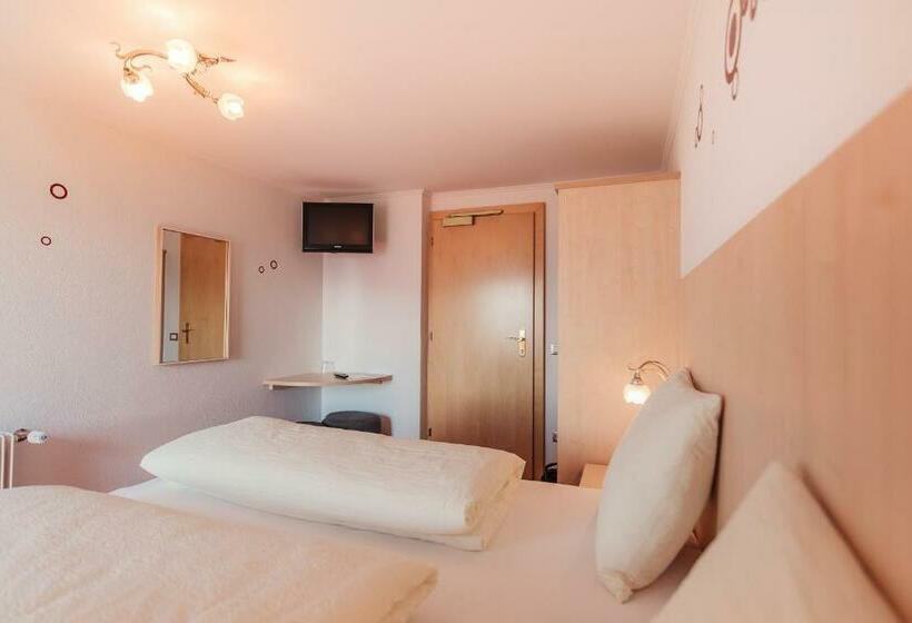 Номер Стандарт, Pension Wiesenrain