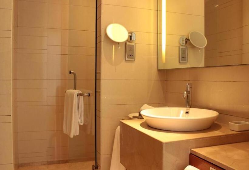 标准间带游泳池, Hyatt Pune