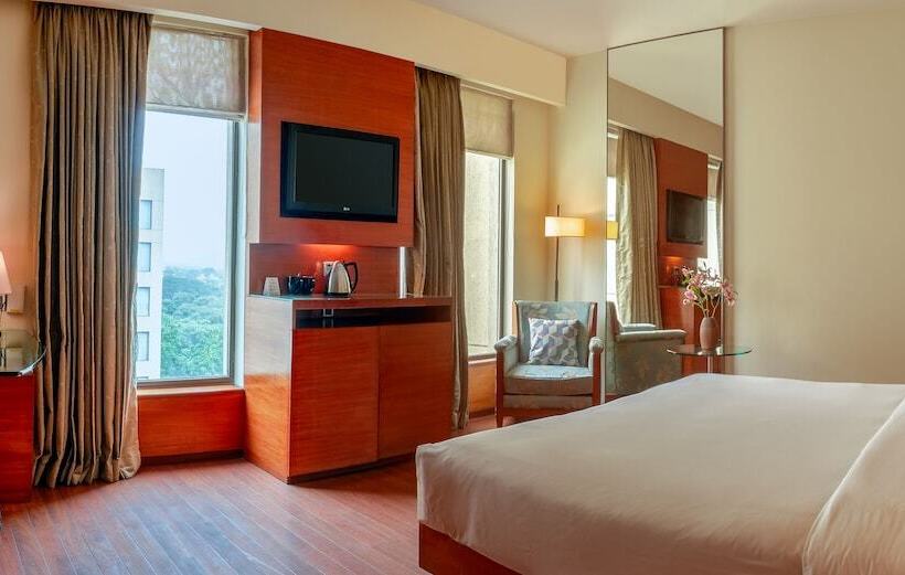 商务房间, Hyatt Pune