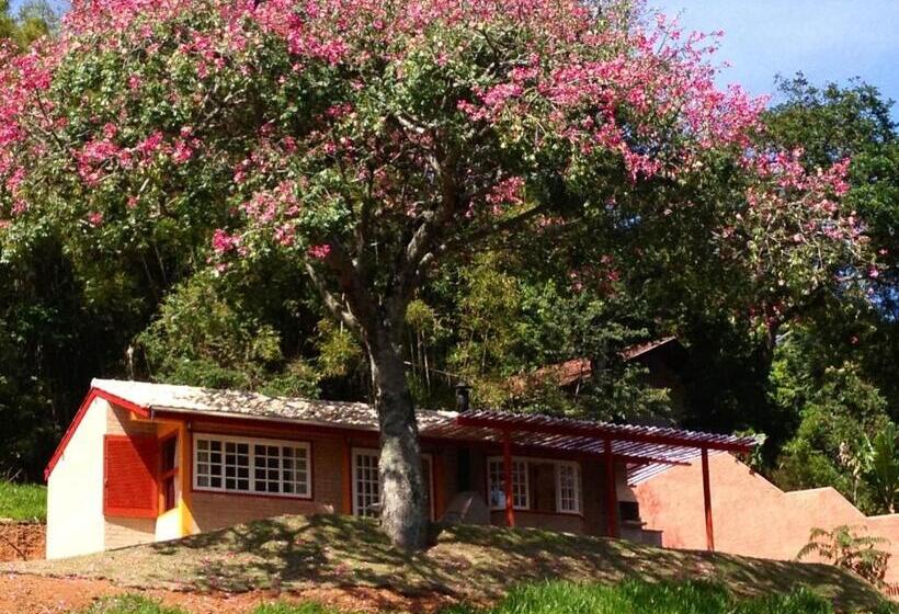 Шале Superior 1 Спальня, Pousada Chalés Da Casa Centenária