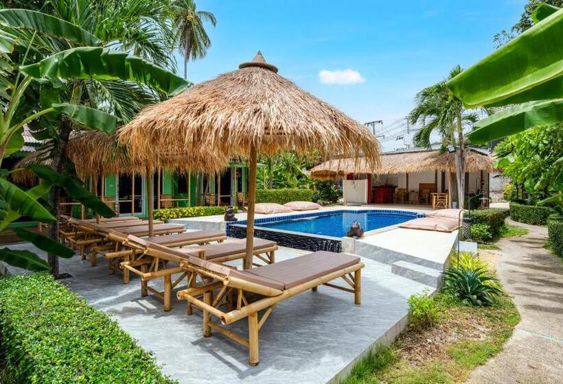 标准平房, Avocado Koh Samui