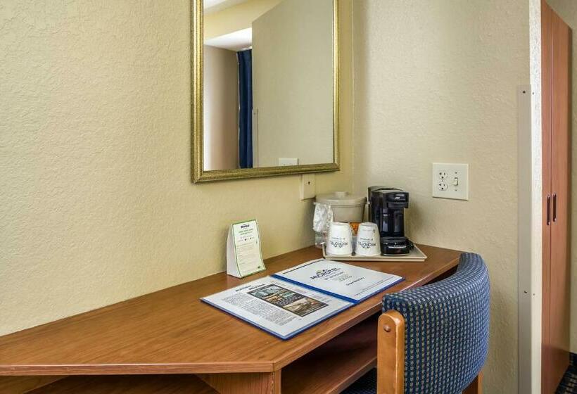 스탠다드 룸, Microtel Inn & Suites Leesburg