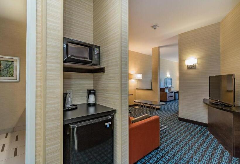 סטודיו סטנדרט, מיטה זוגית, Fairfield Inn & Suites By Marriott Elkhart