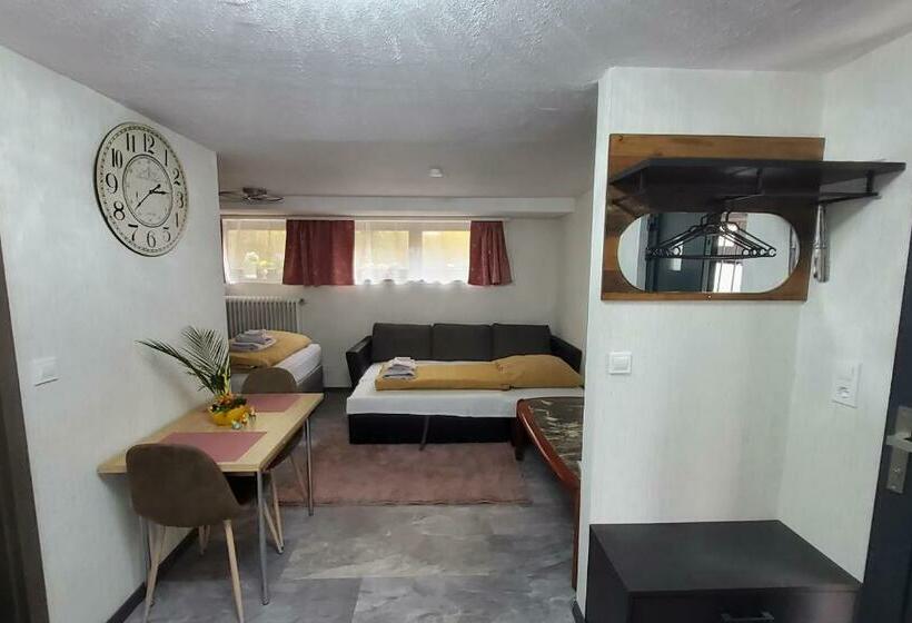 标准间, Brodovskiy  Apartment