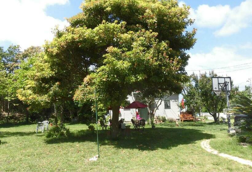 Студия Стандарт, Pension Alba   Vacation Stay 70972v