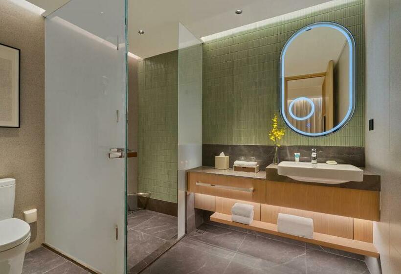 带城市景观的标准间, Hyatt Place Huangshan Train Station